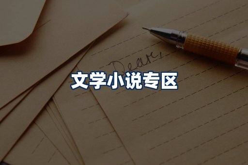 文学小说PDF展示